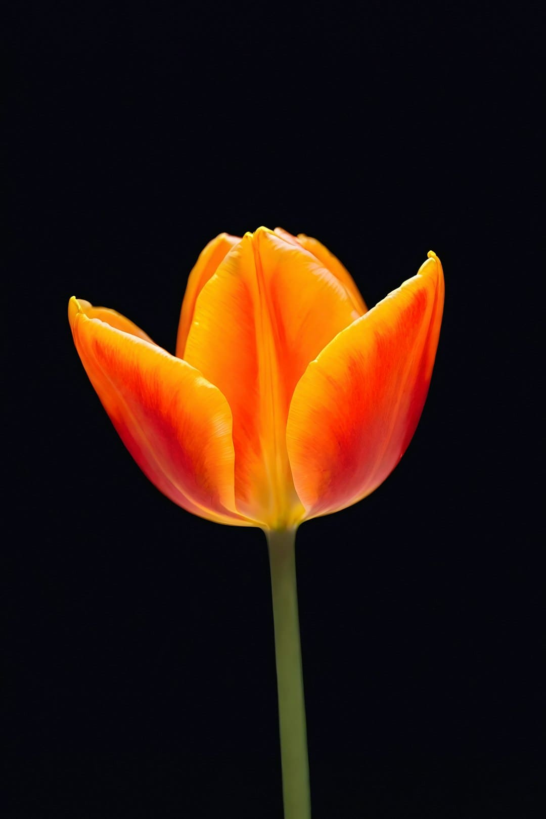 http://n.sinaimg.cn/news/transform/w600h400/20180313/LZOI-fyscsmu9330396.jpg?zdy